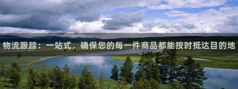 旺财28是什么是赌博吗?：物流跟踪：