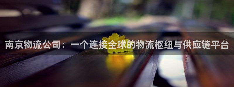 旺财28ccm游戏：南京物流公司：一