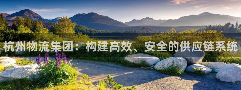 旺财28能不能退