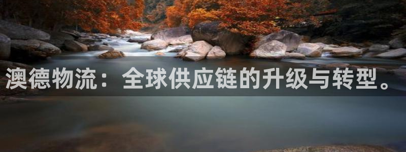 旺财28激活码
