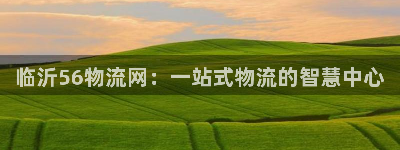 旺财28能退款吗：临沂56物流网：一