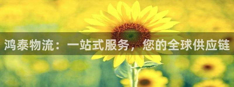 旺财28注册条件：鸿泰物流：一站式服