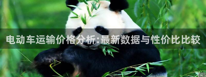 旺财28加拿大技巧