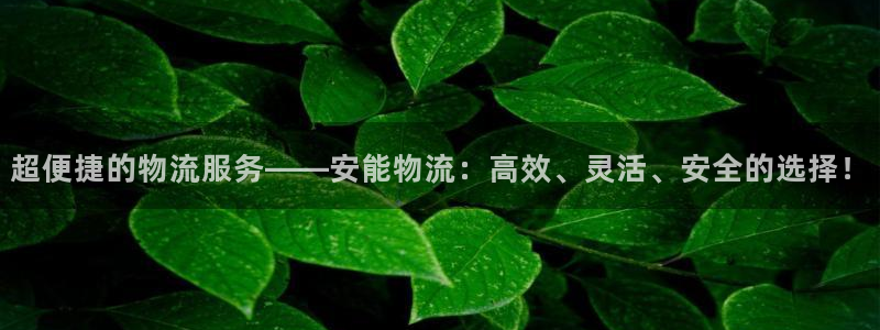 旺财28官网入口：超便捷的物流服务—