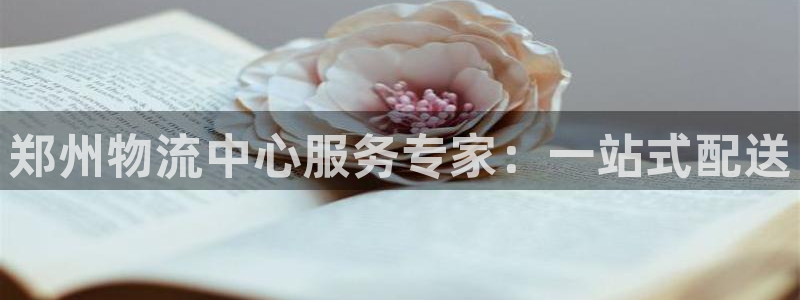 旺财28p图上分下款通道：郑州物流中