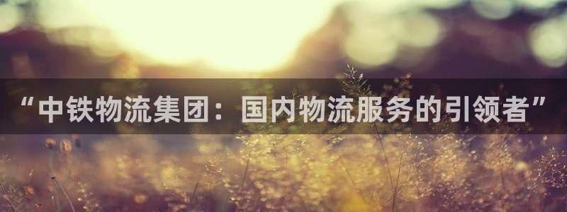 旺财28官网入口pc正版：“中铁物流