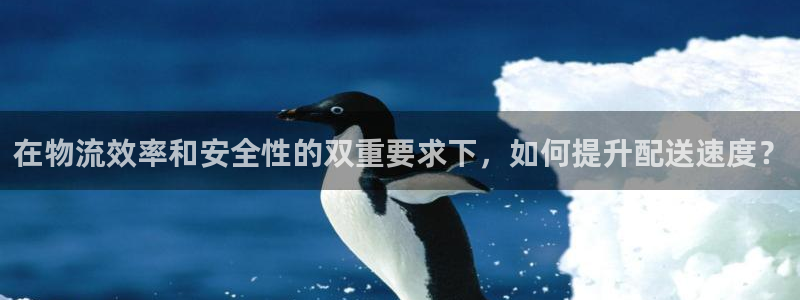 旺财28官网平台：在物流效率和安全性