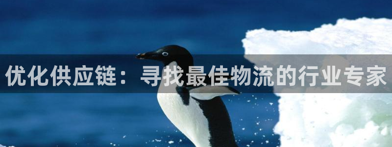 旺财28入口问一问：优化供应链：寻找