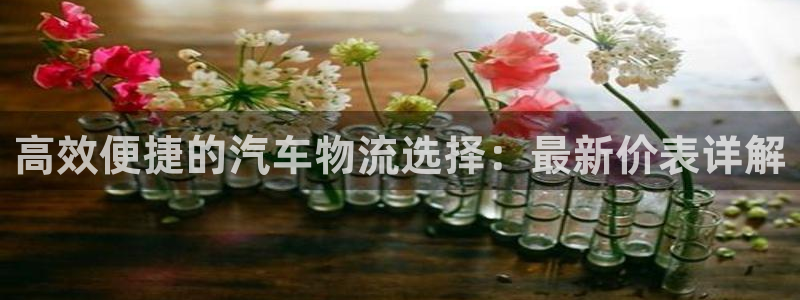 旺财28官网入口pc预测：高效便捷的