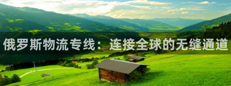 旺财28提现未达5期是什么意思：俄罗