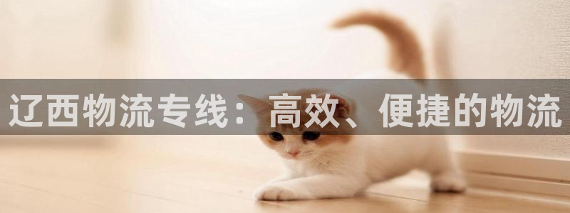 旺财28连接：辽西物流专线：高效、便