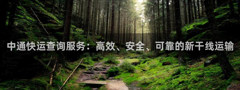 旺财28登录网：中通快运查询服务：高