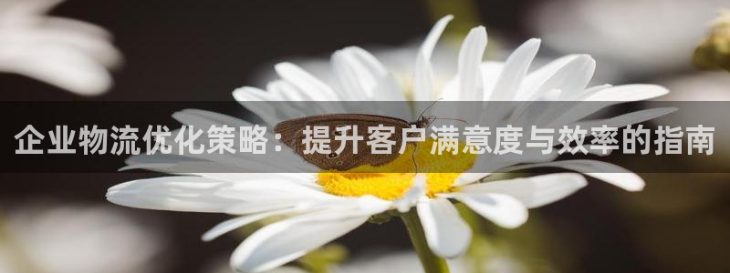 旺财28模拟器：企业物流优化策略：提