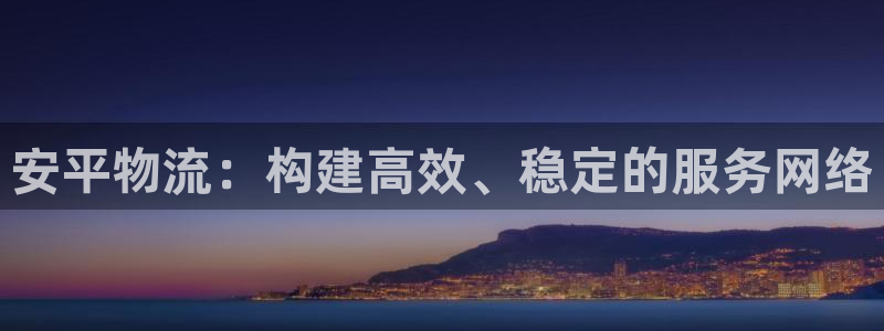 旺财28注册流程：安平物流：构建高效
