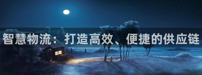 旺财28官网下载APP：智慧物流：打