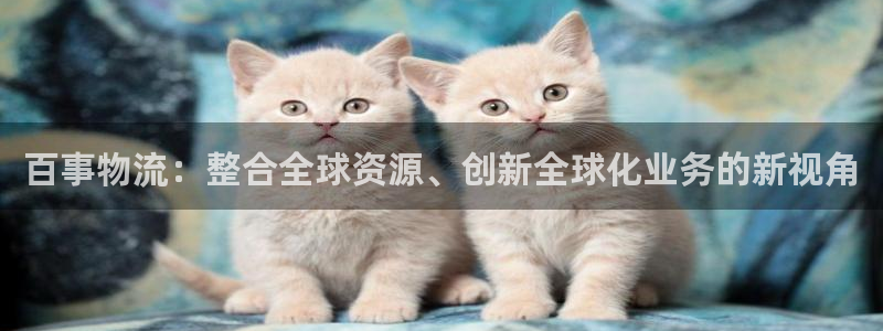 旺财28昵称：百事物流：整合全球资源