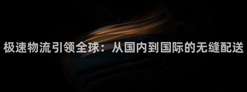 旺财28如何退款：极速物流引领全球：