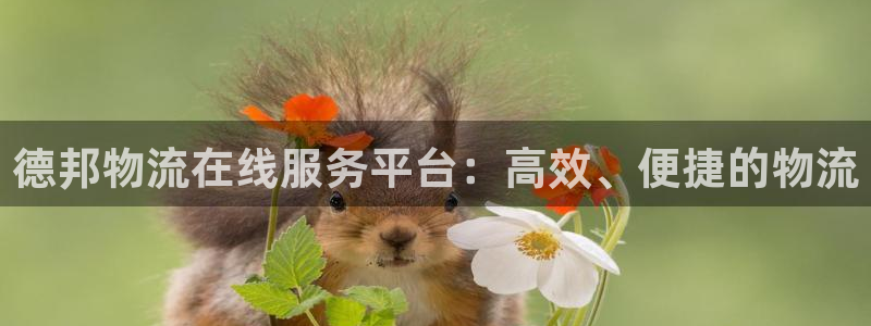 旺财28加拿大开奖：德邦物流在线服务