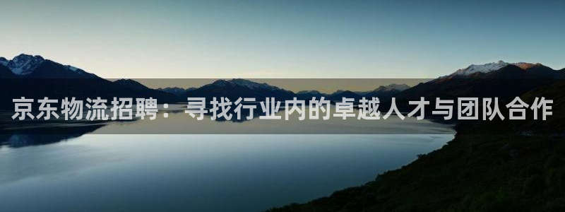 旺财28下载链接是多少：京东物流招聘