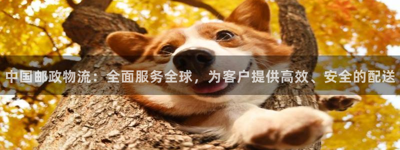 旺财28官方版正版：中国邮政物流：全