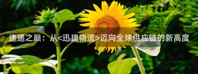 旺财28注册上限是啥意思：速递之巅：