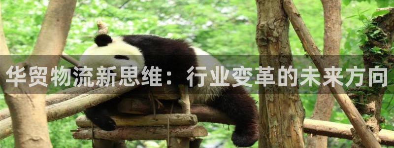 旺财28官网版所有版本：华贸物流新思