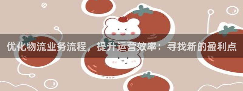 旺财28麻将：优化物流业务流程，提升