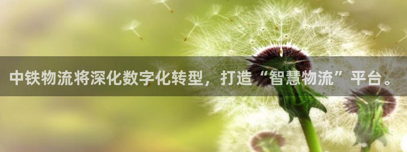 旺财28软件是诈骗吗：中铁物流将深化