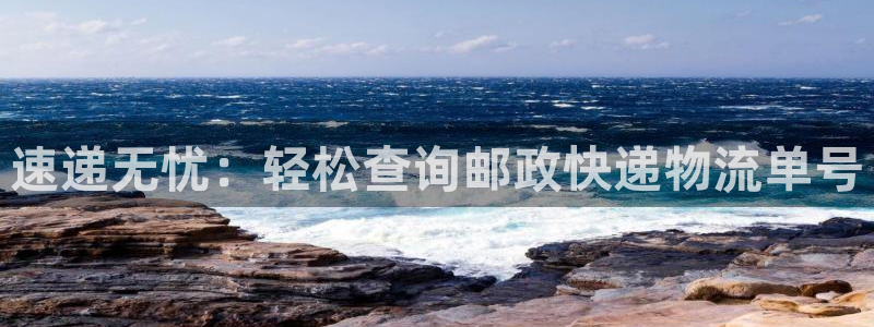 南宫旺财28官网版:速递无忧:轻松查