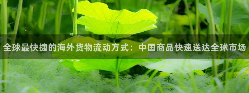 旺财28官网入口pc是诈骗吗?：全球最快捷的海外货物流动方式