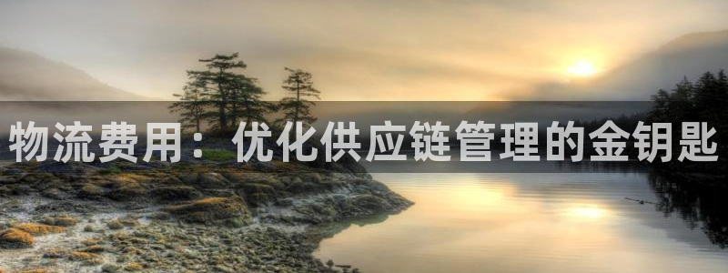 旺财28注册教程：物流费用：优化供应链管理的金钥匙