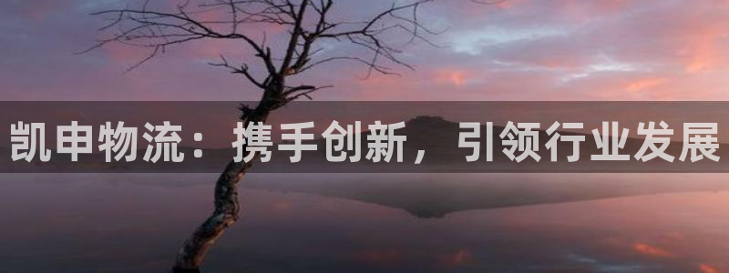 旺财28玩法：凯申物流：携手创新，引