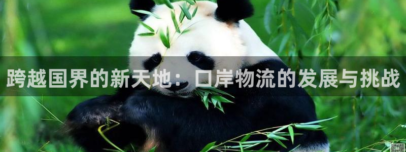 旺财28提现未达5期是什么意思:跨越