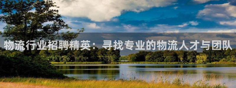 旺财28怎么注册:物流行业招聘精英: