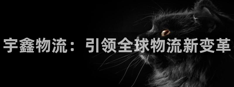 旺财28app怎么注销：宇鑫物流：引领全球物流新变革