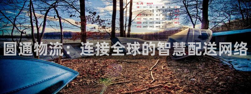 旺财28官网多少：圆通物流：连接全球