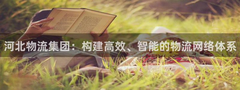 旺财28加拿大技巧：河北物流集团：构